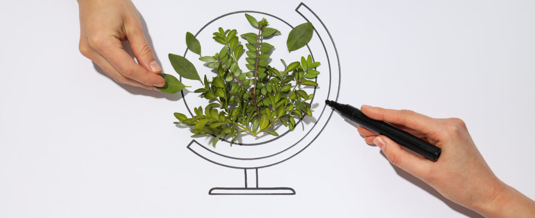 ISO 14001 is Not Just for Environmentalists: How It Lowers Costs for Manufacturing Firms