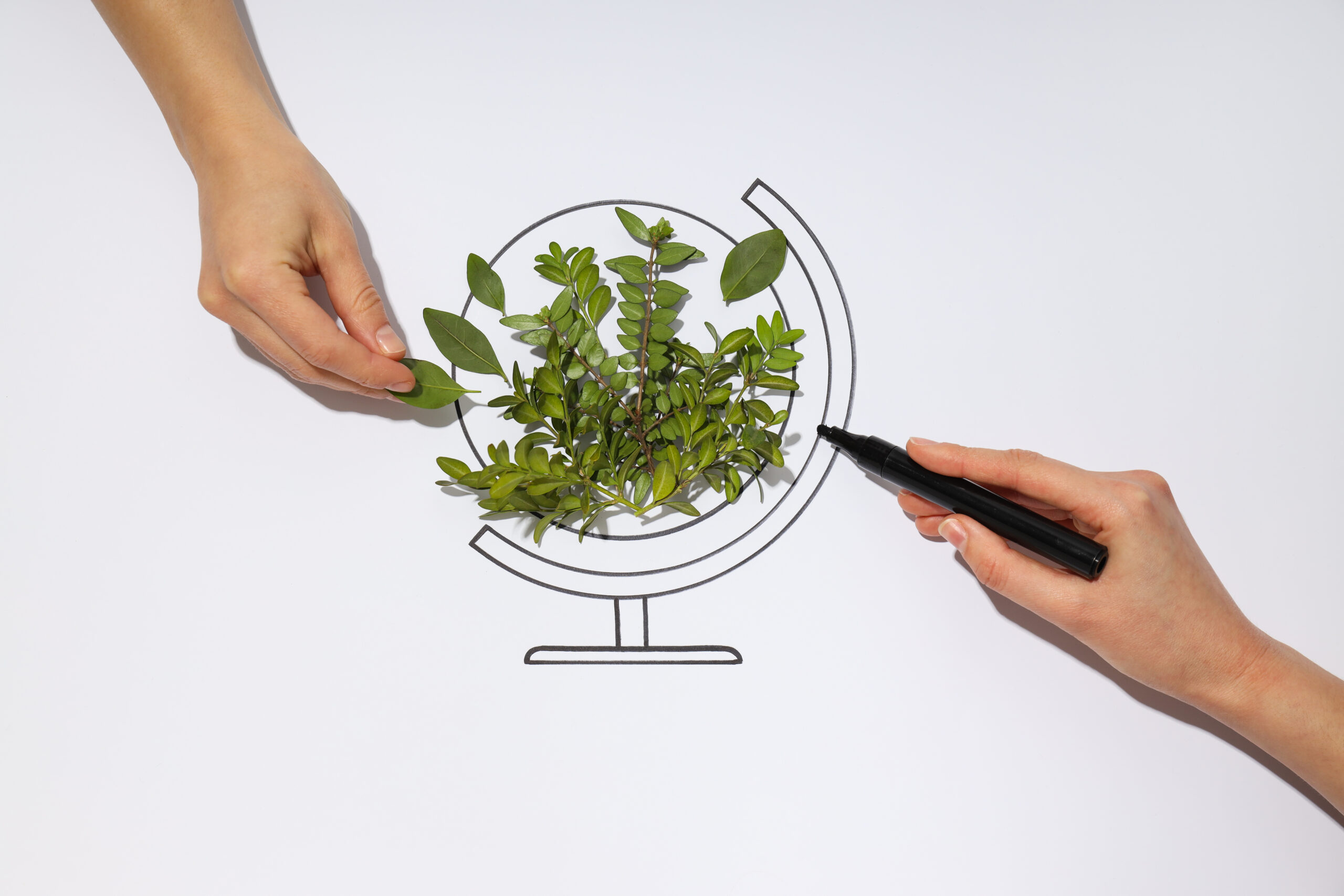 ISO 14001 Sadece Çevreciler İçin Değil: Üretim Firmalarının Maliyeti Nasıl Düşürür?