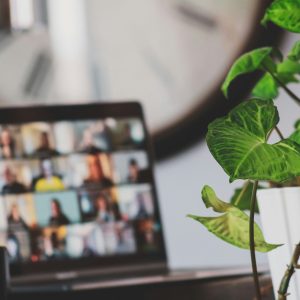 sigmund-eTgMFFzroGc-unsplash (1)